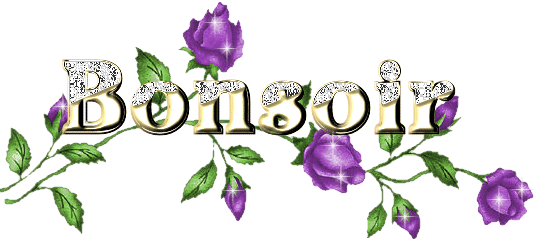 BONSOIR